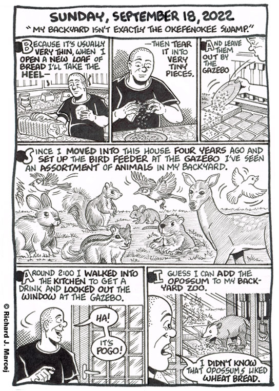 Daily Comic Journal: September 18, 2022: “My Backyard Isn’t Exactly The Okefenokee Swamp.”