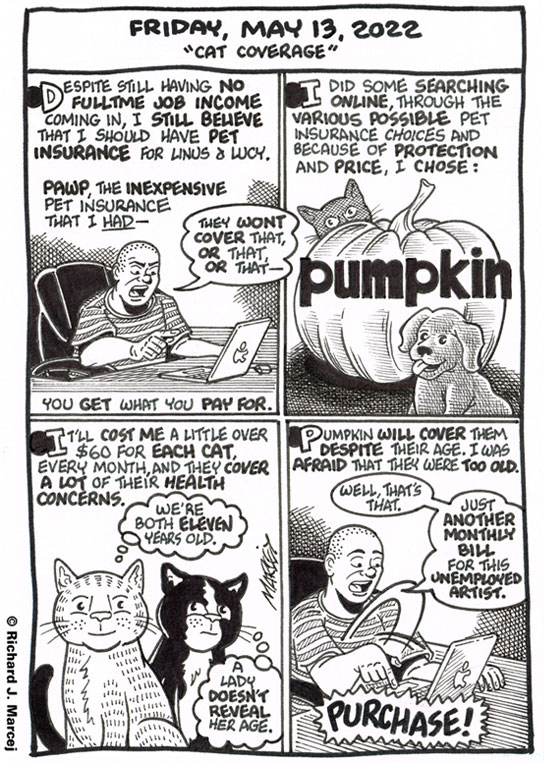 Daily Comic Journal: May 13, 2022: “Cat Coverage.”